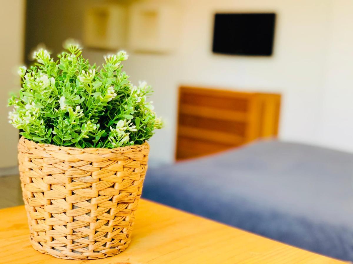 Apartamento Estudio 4 en el centro de Pontevedra Exterior foto